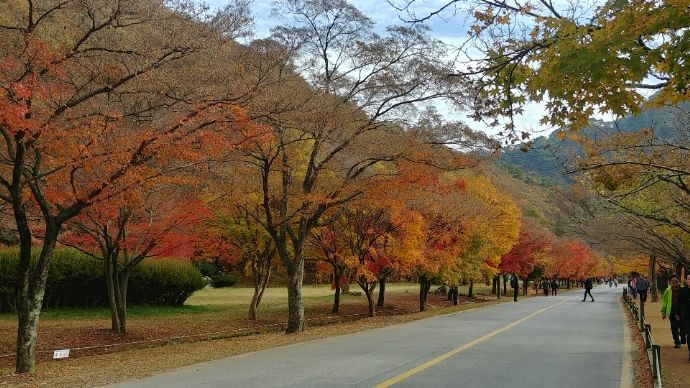 클릭하시면 원래 크기를 보실수 있습니다